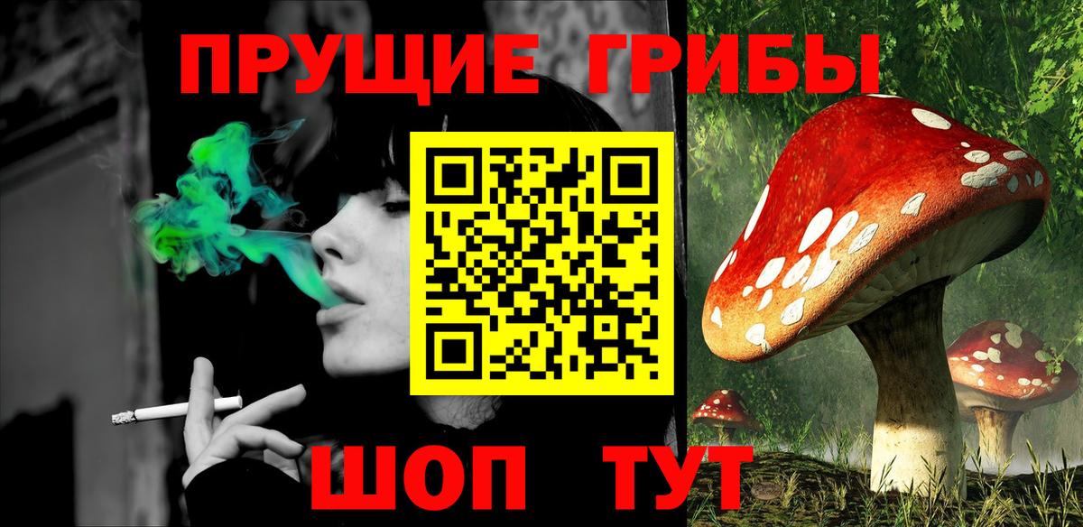 Мирный  Галлюциногенные грибы мухоморы  Вход с VPN 
