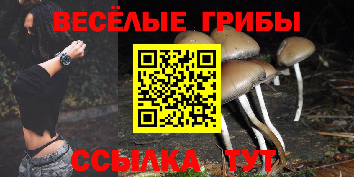 Псилоцибиновые грибы MAGIC MUSHROOMS Мирный