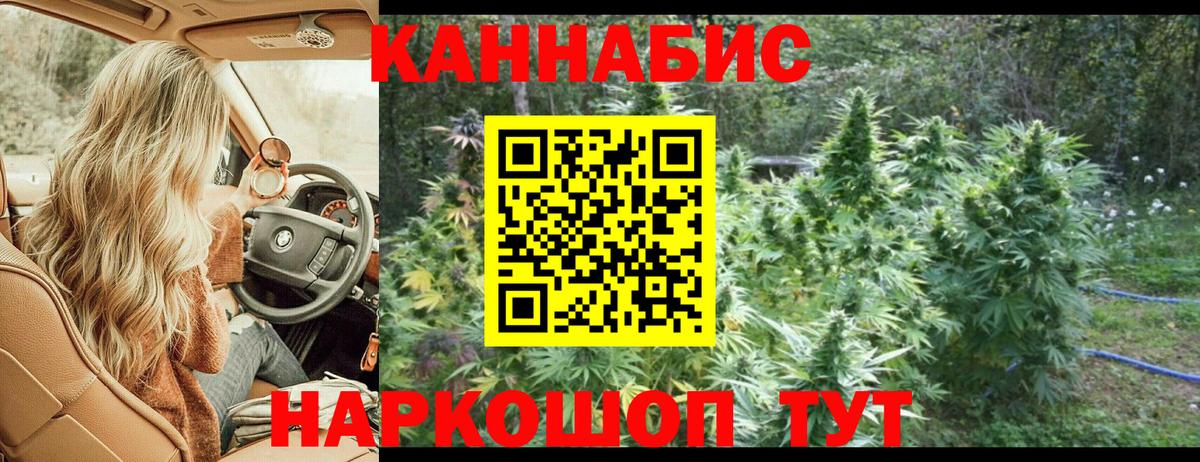 Канабис ГИДРОПОН Мирный